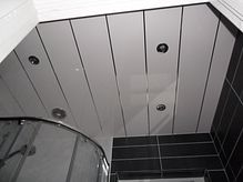Bathroom 01 - 07 - Ceiling Panels